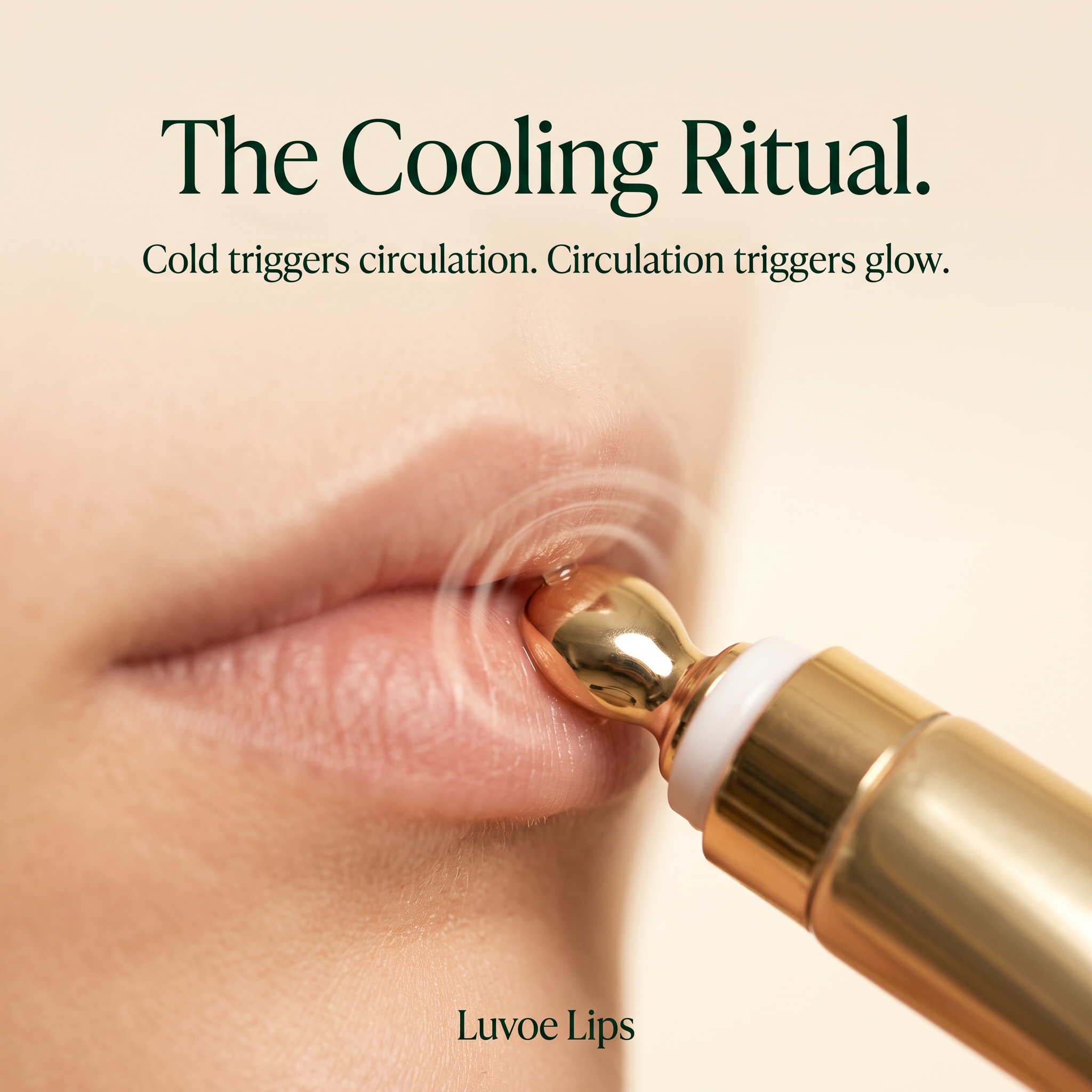Luvoe Lips Lip Plumping Oil